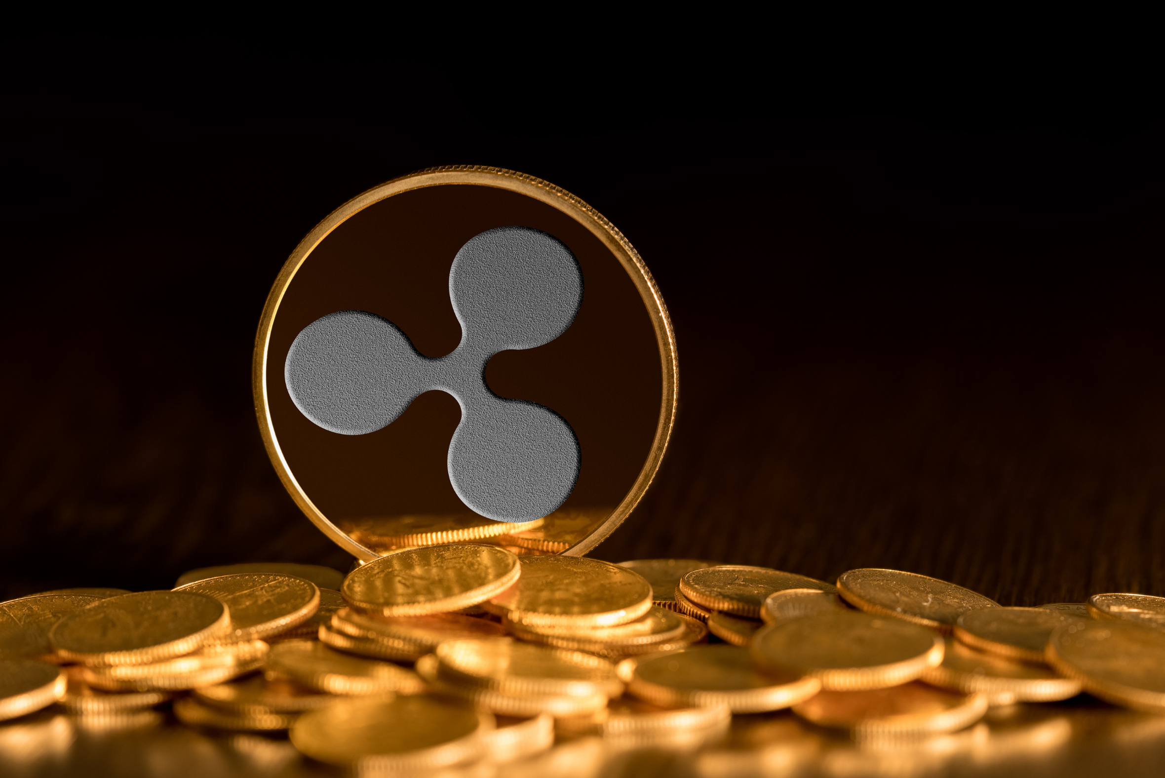 What is Ripple?