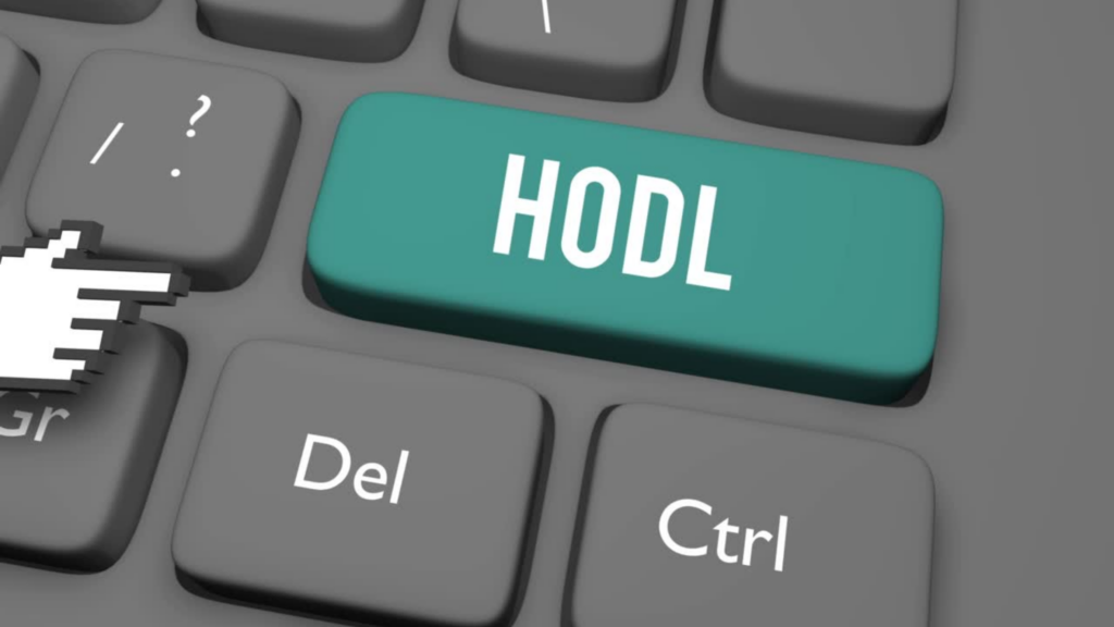 Hold on for dear life. What is “HODL”?