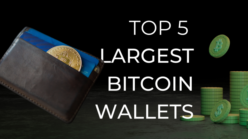 Top 5 largest Bitcoin Wallets